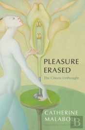 Pleasure Erased
