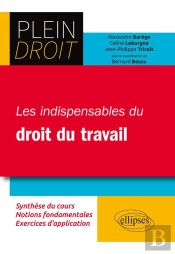 Plein Droit ; Les Indispensables Du Droit Du Travail