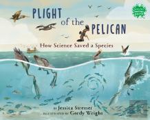 Plight Of The Pelican