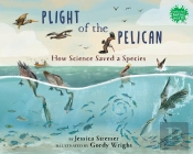 Plight Of The Pelican