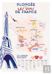 Plongée Dans Les Vins De France