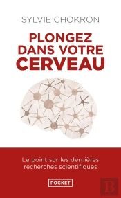 Plongez Dans Votre Cerveau : Le Point Sur Les Dernières Recherches Scientifiques