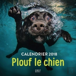 Bertrand.pt - Plouf Le Chien