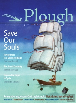 Bertrand.pt - Plough Quarterly No. 13 - Save Our Souls