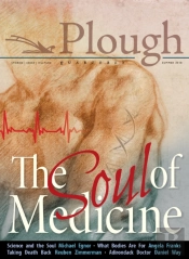 Plough Quarterly No. 17- The Soul Of Medicine