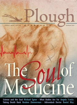 Bertrand.pt - Plough Quarterly No. 17- The Soul Of Medicine