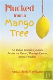 Plucked From A Mango Tree