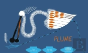 Plume