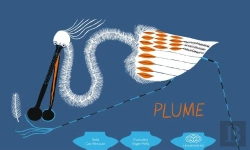 Bertrand.pt - Plume