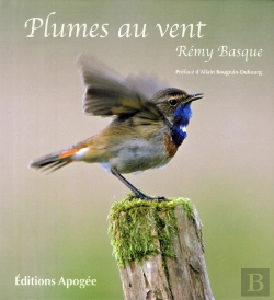 Bertrand.pt - Plumes Au Vent