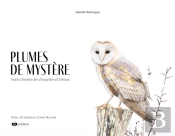Plumes De Mystère : Sur Le Chemin Des Chouettes Et Hiboux