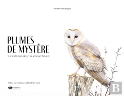 Bertrand.pt - Plumes De Mystère : Sur Le Chemin Des Chouettes Et Hiboux