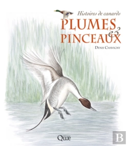 Bertrand.pt - Plumes Et Pinceaux