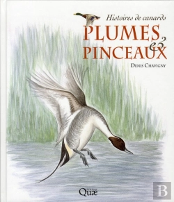 Bertrand.pt - Plumes Et Pinceaux. Des Histoires De Canards