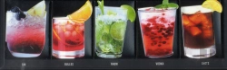 Bertrand.pt - Plumier Cocktails
