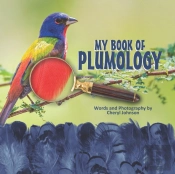 Plumology