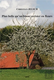 Plus Belle Qu'Un Blanc Cerisier En Fleurs
