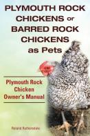 Plymouth Rock Chickens Or Barred Rock Chickens As Pets. Plymouth Rock Chicken Owner'S Manual.