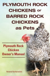 Plymouth Rock Chickens Or Barred Rock Chickens As Pets. Plymouth Rock Chicken Owner'S Manual.