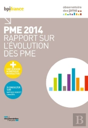 Pme 2014 ; Rapport Sur L'Évolution Des Pme