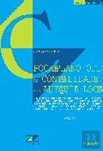 Pocal - Plano Oficial de Contabilidade das Autarquias Locais