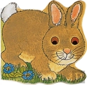 Pocket Bunny