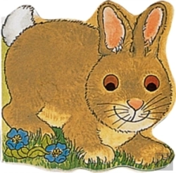 Bertrand.pt - Pocket Bunny