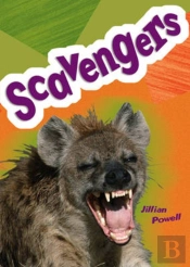 Pocket Facts Year 5: Scavengers
