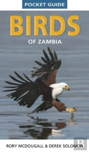 Pocket Guide Birds Of Zambia