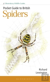 Pocket Guide To British Spiders