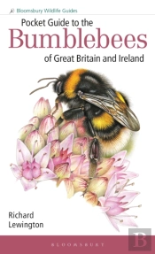 Pocket Guide To The Bumblebees Of Great Britain And Ireland