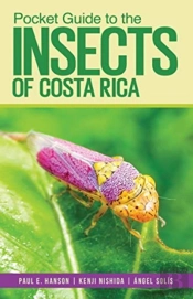 Pocket Guide To The Insects Of Costa Rica