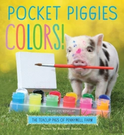 Bertrand.pt - Pocket Piggies Colors!