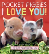 Pocket Piggies: I Love You!