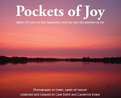 Bertrand.pt - Pockets Of Joy