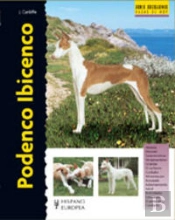 Podenco Ibicenco