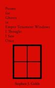 Poems For Ghosts In Empty Tenement Windows I Thought I Saw Once