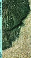 Poesia do Mundo - 1º Volume
