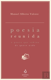 Poesia Reunida - O Pouco Que Sobrou de Quase Nada