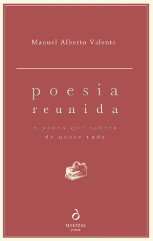 Poesia Reunida - O Pouco Que Sobrou de Quase Nada