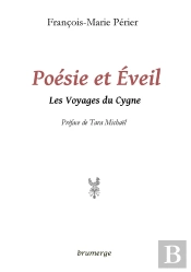 Poésie Et Éveil ; Les Voyages Du Cygne