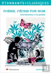 Poésie, J'Écris Ton Nom ; Introduction À La Poésie