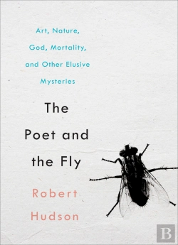Bertrand.pt - Poet And The Fly