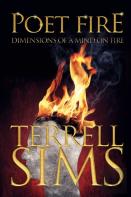 Poet Fire Dimensions Of A Mind On Fire