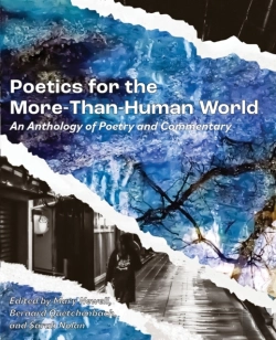 Bertrand.pt - Poetics For The More-Than-Human World