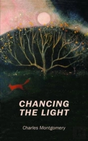 Poetry Chancing The Light