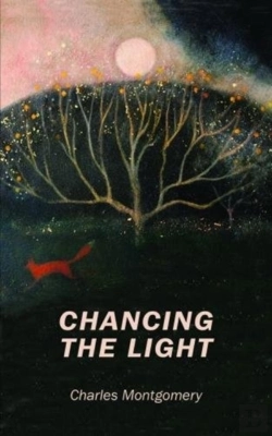 Bertrand.pt - Poetry Chancing The Light