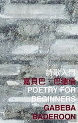 Bertrand.pt - Poetry For Beginners