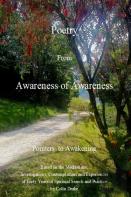 Poetry From Awareness Of Awareness