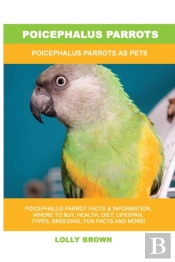 Poicephalus Parrots